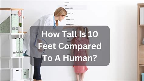 10 feet compared to human.
